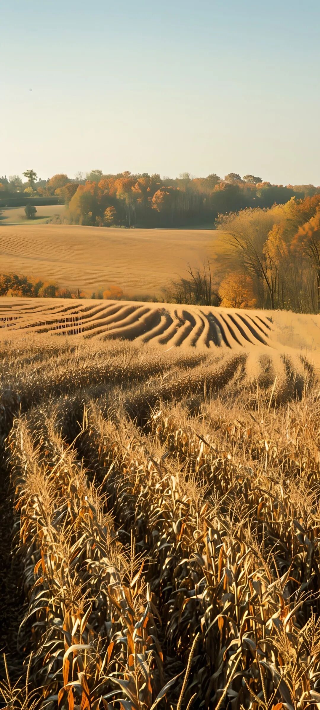 此外,风景风格的壁纸还具有很强的适用性和普遍性,它们既可以是大自然