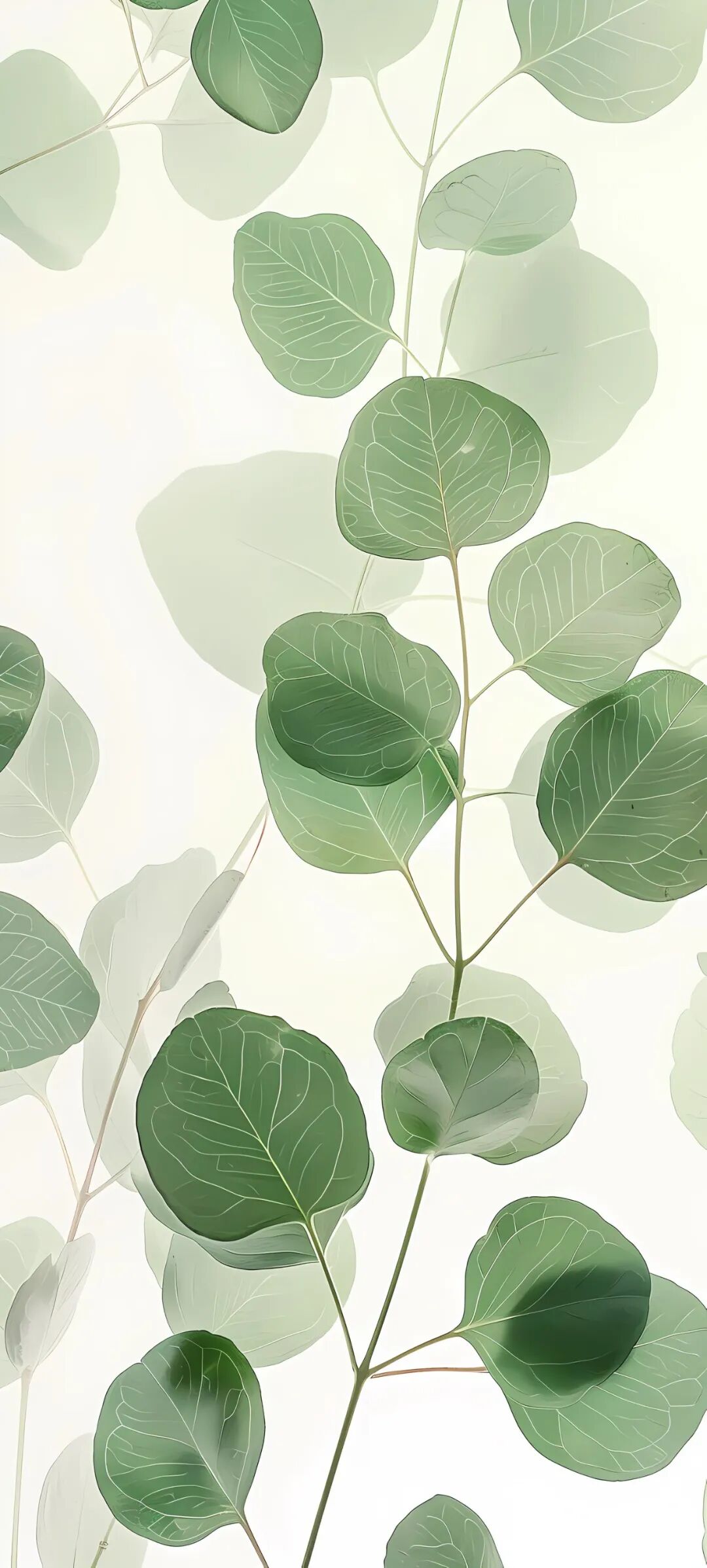 手机壁纸个性简约高清壁纸原图适配苹果iphone14