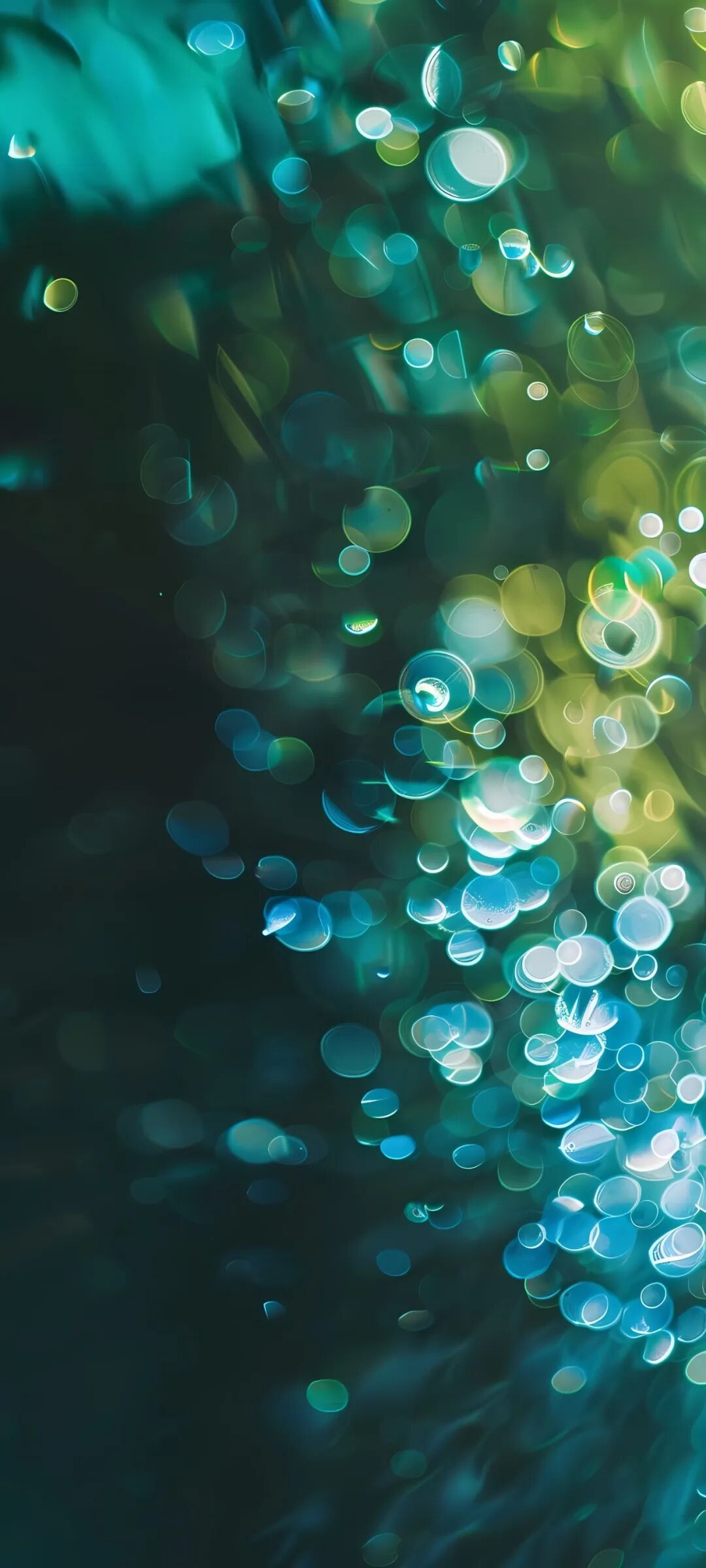 壁纸 海底 海底世界 海洋馆 水族馆 1080_2395 竖版 竖屏 手机