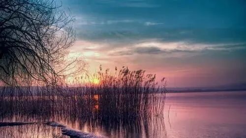 640?wx_fmt=jpeg&tp=webp&wxfrom=5&wx_lazy=1&wx_co=1