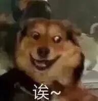 ������̫�ó��ˣ����������޹���ѡ���ڼ��Լ�����