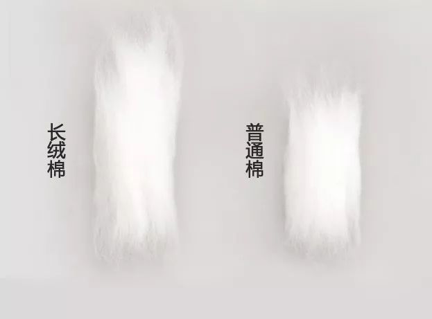 床笠是什么字_床笠是什么意思_床笠念什么