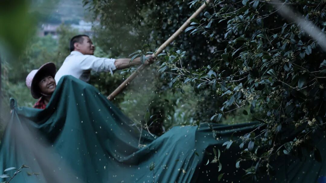 ���̲辪�ޣ��ȿ�����ͷ���úȻ�����Ҵ��������һ�����