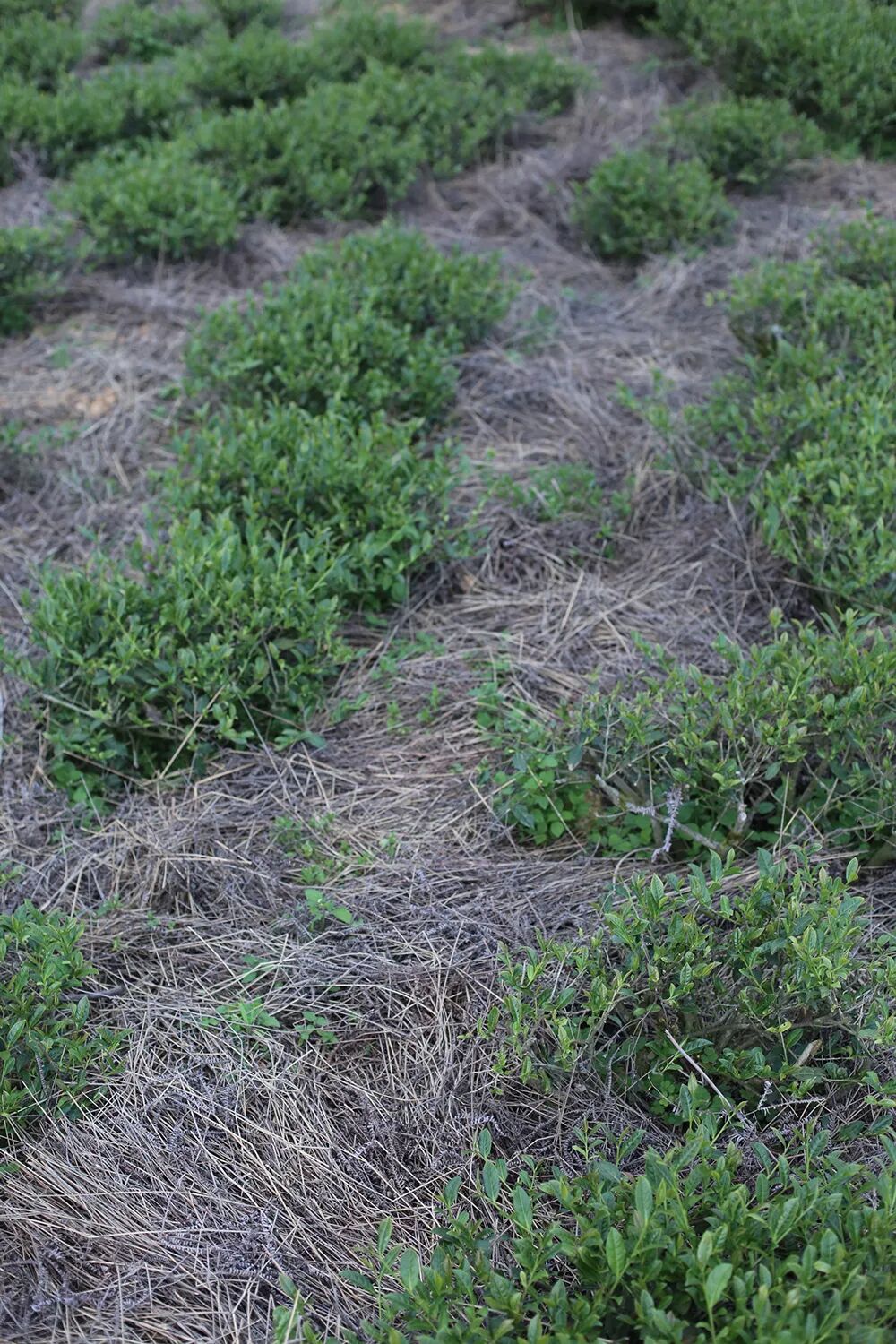 ���̲辪�ޣ��ȿ�����ͷ���úȻ�����Ҵ��������һ�����