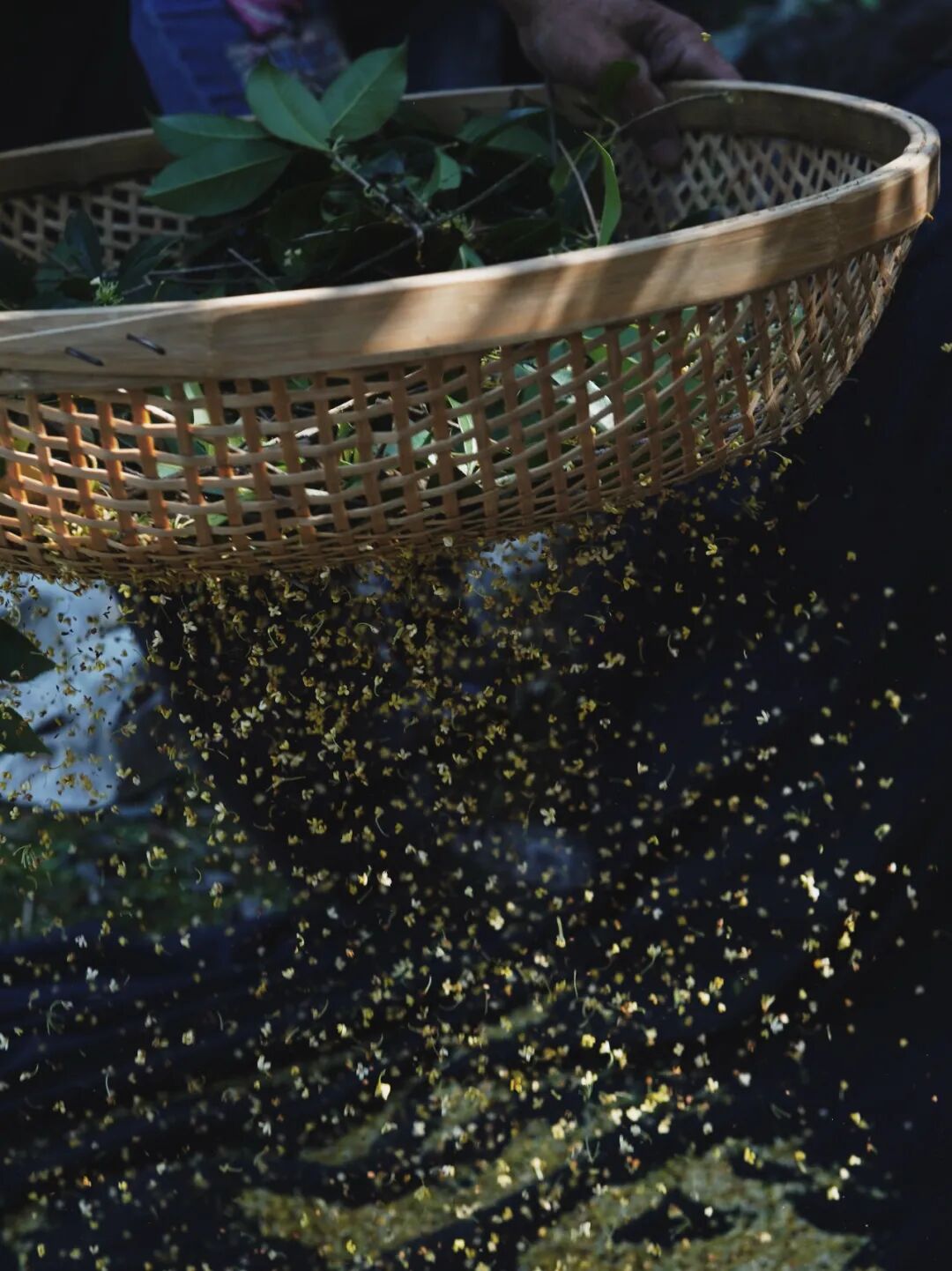 ���̲辪�ޣ��ȿ�����ͷ���úȻ�����Ҵ��������һ�����