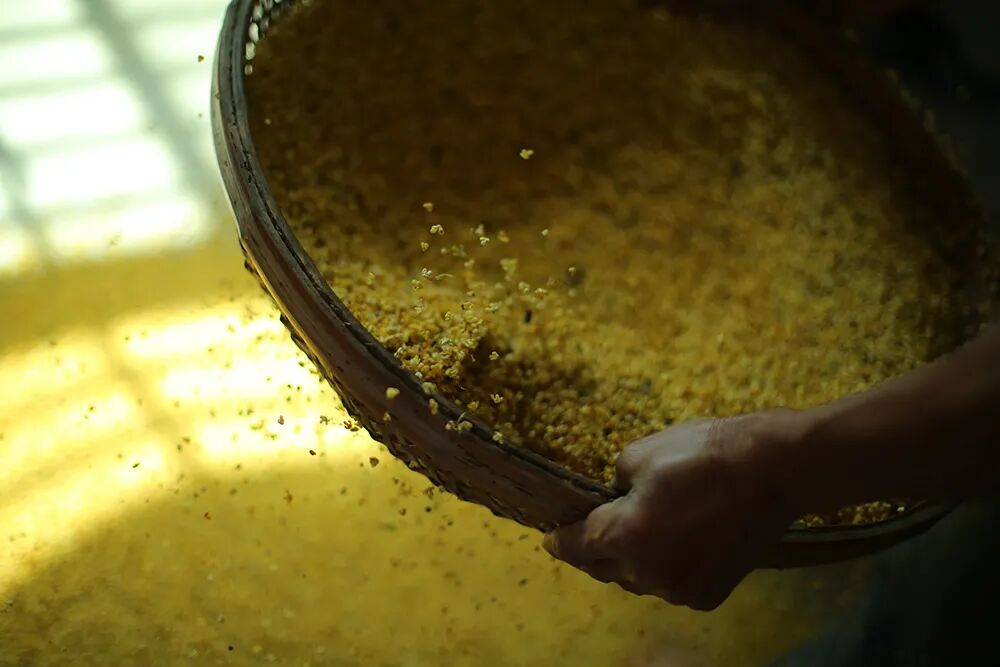 ���̲辪�ޣ��ȿ�����ͷ���úȻ�����Ҵ��������һ�����