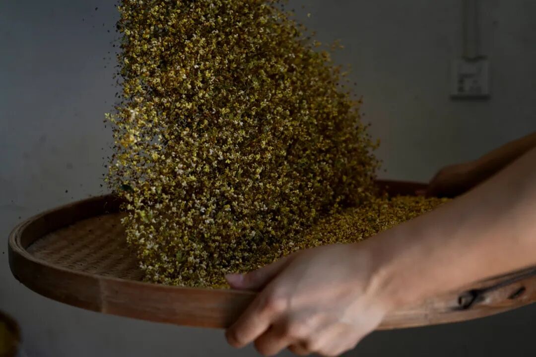 ���̲辪�ޣ��ȿ�����ͷ���úȻ�����Ҵ��������һ�����