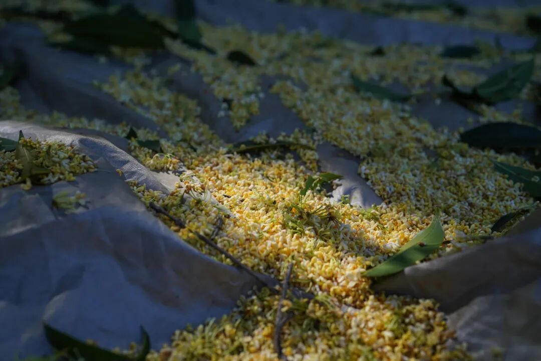 ���̲辪�ޣ��ȿ�����ͷ���úȻ�����Ҵ��������һ�����