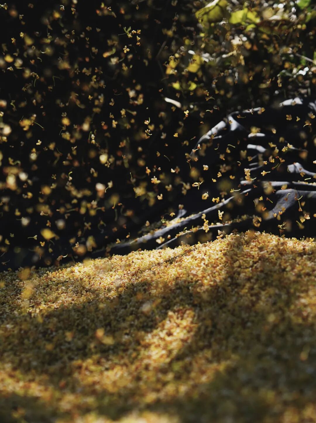 ���̲辪�ޣ��ȿ�����ͷ���úȻ�����Ҵ��������һ�����