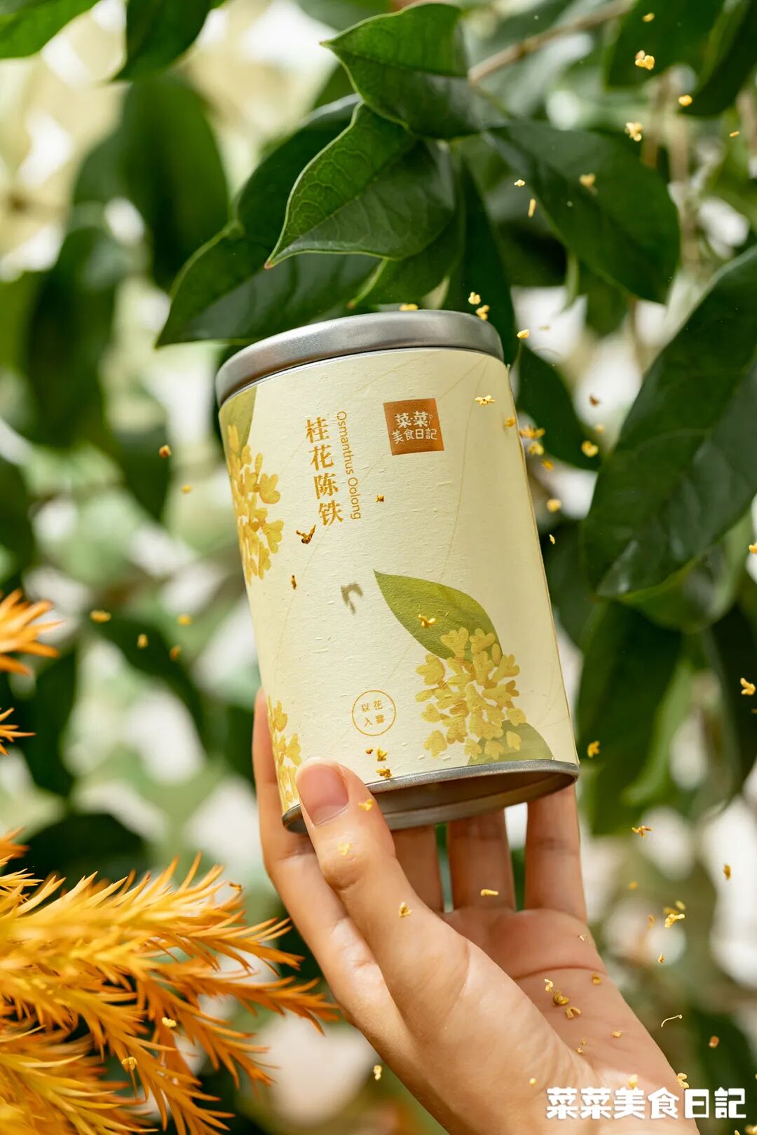 ���̲辪�ޣ��ȿ�����ͷ���úȻ�����Ҵ��������һ�����