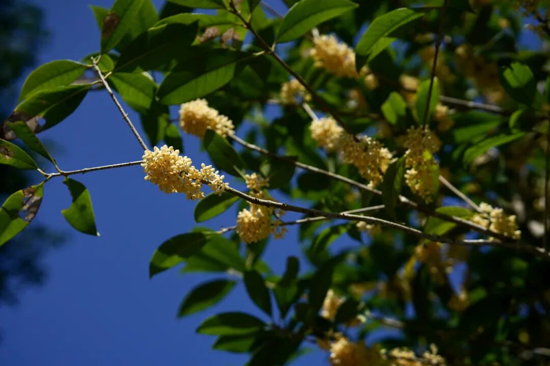 ���̲辪�ޣ��ȿ�����ͷ���úȻ�����Ҵ��������һ�����