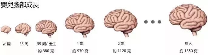 揭秘嬰幼兒奶粉中營養成分那些事兒 親子 第7張