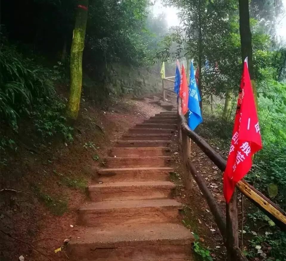 丹景山植被豐富,石階爬起來很輕鬆,眼裡是青山綠水,清新空氣,還是多