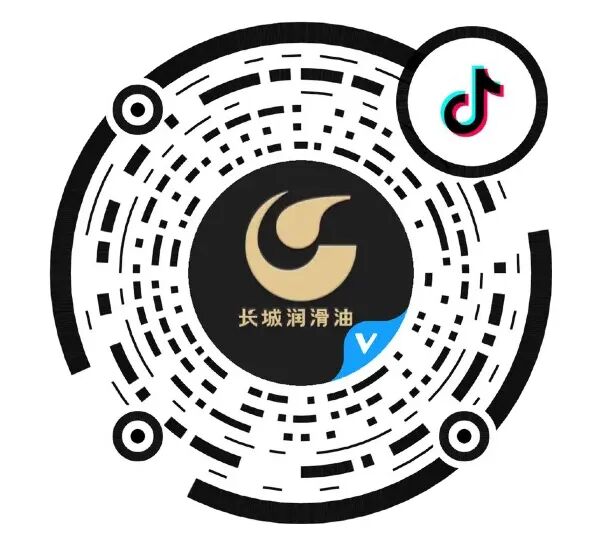 亚洲精品久久久久中文字幕二区