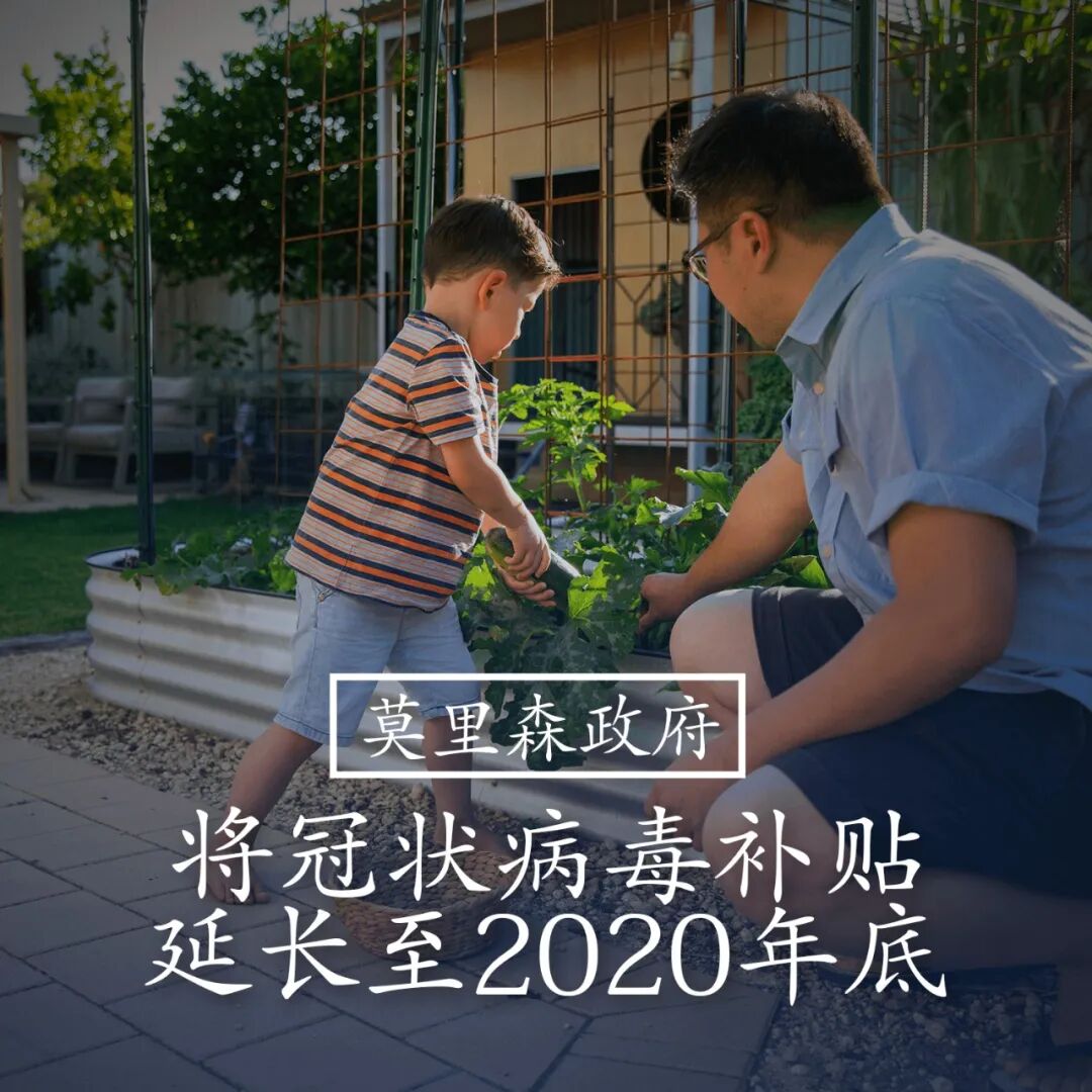 澳总理莫里森：延长JobKeeper留职津贴和其他收入支持补贴措施 - 2