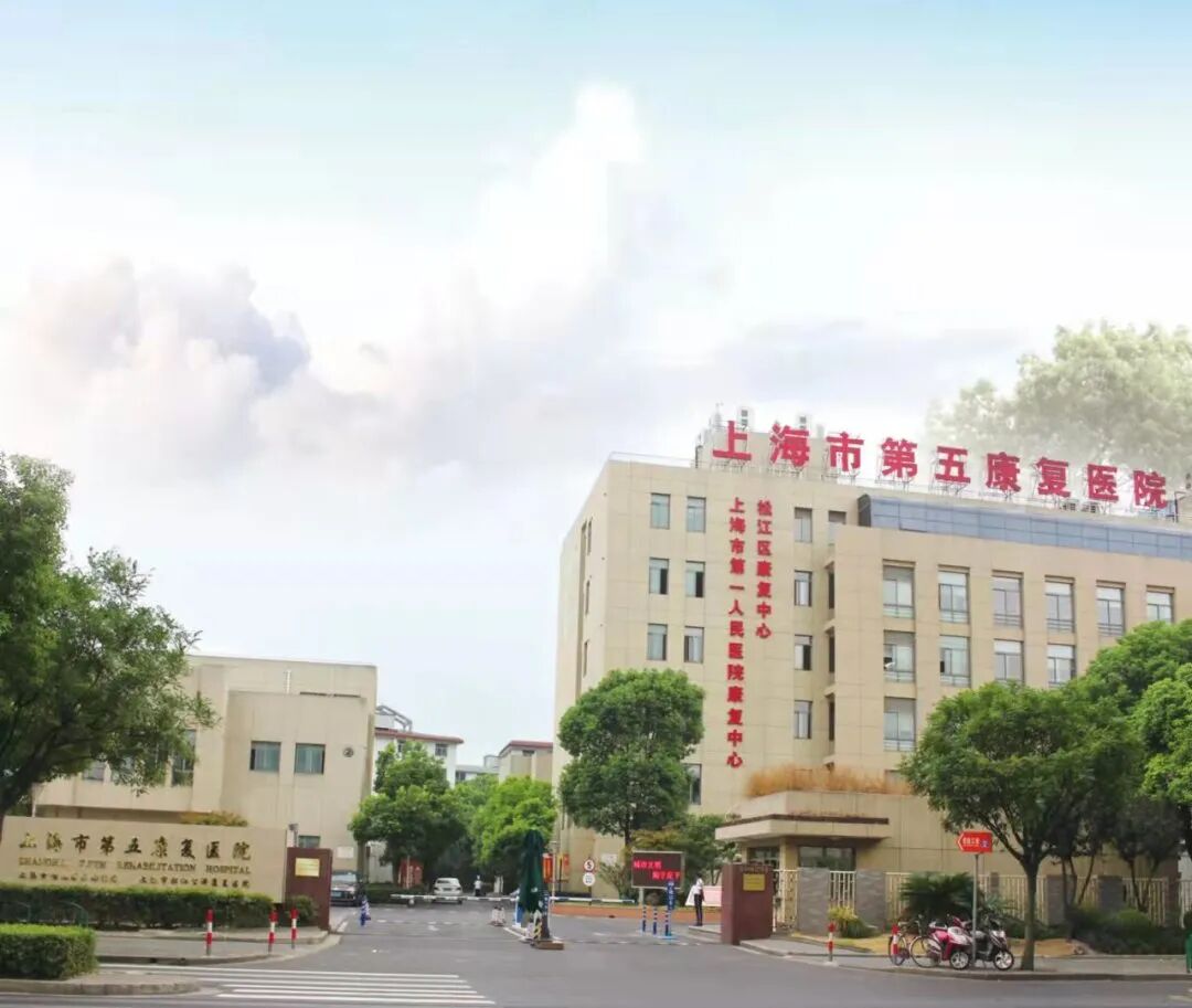 于2016年5月,由1995年5月创建的上海市松江区乐都医院整体转型而成,是