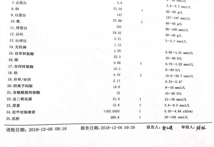 img18806.JPG 图片