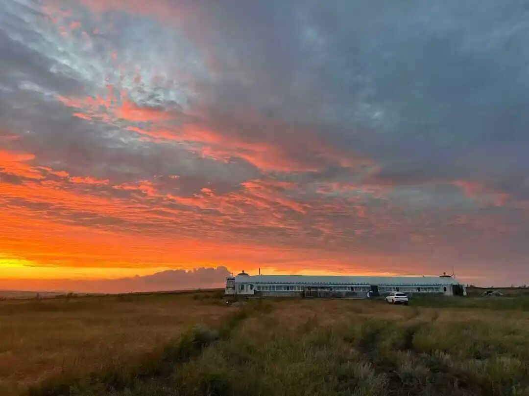 年货进村，拼多多“一点就到家”