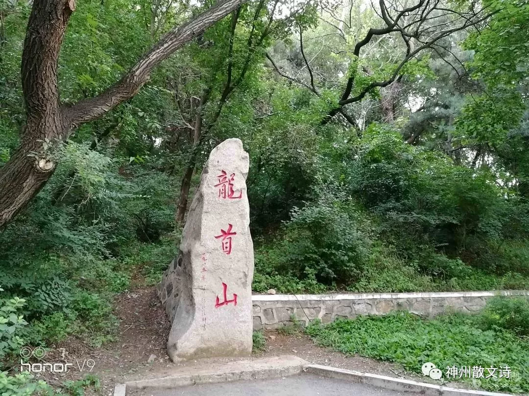 【人生行吟】陈词:看见心灵拔高(散文诗)——致龙首山 【人生行吟】陈词:看见心灵拔高(散文诗)——致龙首山