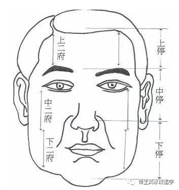下巴破相的影响_下巴破相了一辈子不会好吗_下巴破相之人必有大相
