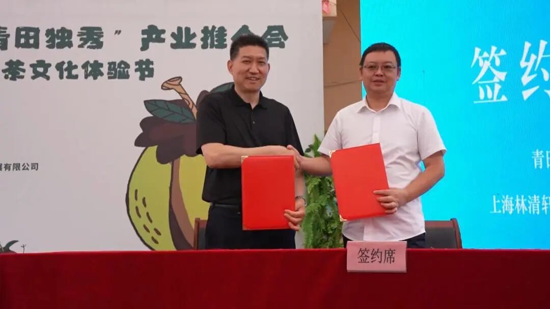 油茶青田这个乡镇玩出新花样