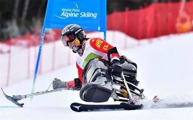 冬梦飞跃_冬梦和飞跃有什么寓意_飞跃冬梦正式亮相