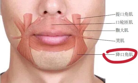 己思 曾经的 娱乐圈交际花 如今崩到像个发面馒头 这是准备退圈了