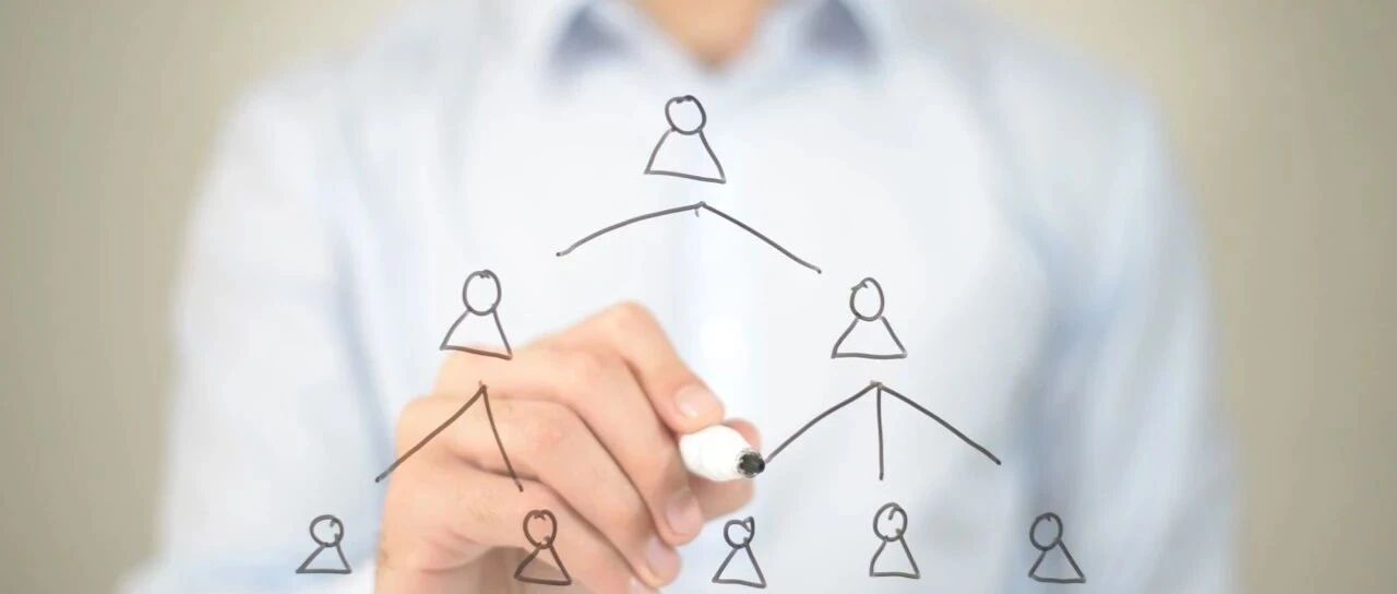 【项目纪实】某通信行业建设人才管理系统管理项目纪实