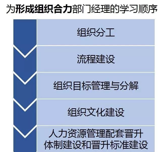 【項目紀實】某大型教育科技集團人力資源管理問題項目紀實 職場 第5張