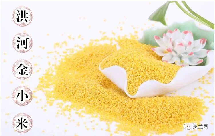 小米加工成套设备_小米加工机械设备_小米米加工设备