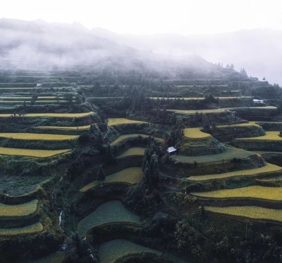 重磅！《孤獨星球》年度榜單出爐，中國唯一上榜地區竟然是...... 旅遊 第24張