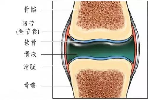 廚房都有的2「寶」，專「克」滑膜炎，不出兩周，積液腫脹全消了 家居 第4張