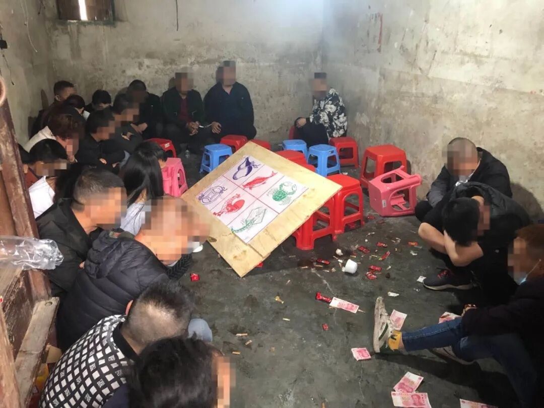 打掉鱼虾蟹赌博窝点枫溪警方刑拘5人行政处罚21人