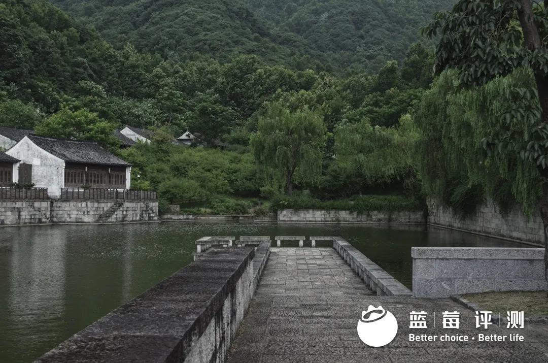 蓝莓评测｜去离上海最近的水乡，在古建园林中「隐居」-蓝莓评测