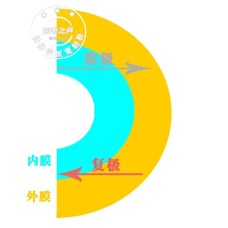 心电监护怎么看图图文并茂最全心电图，值得转发收藏_https://www.jmylbn.com_新闻资讯_第45张