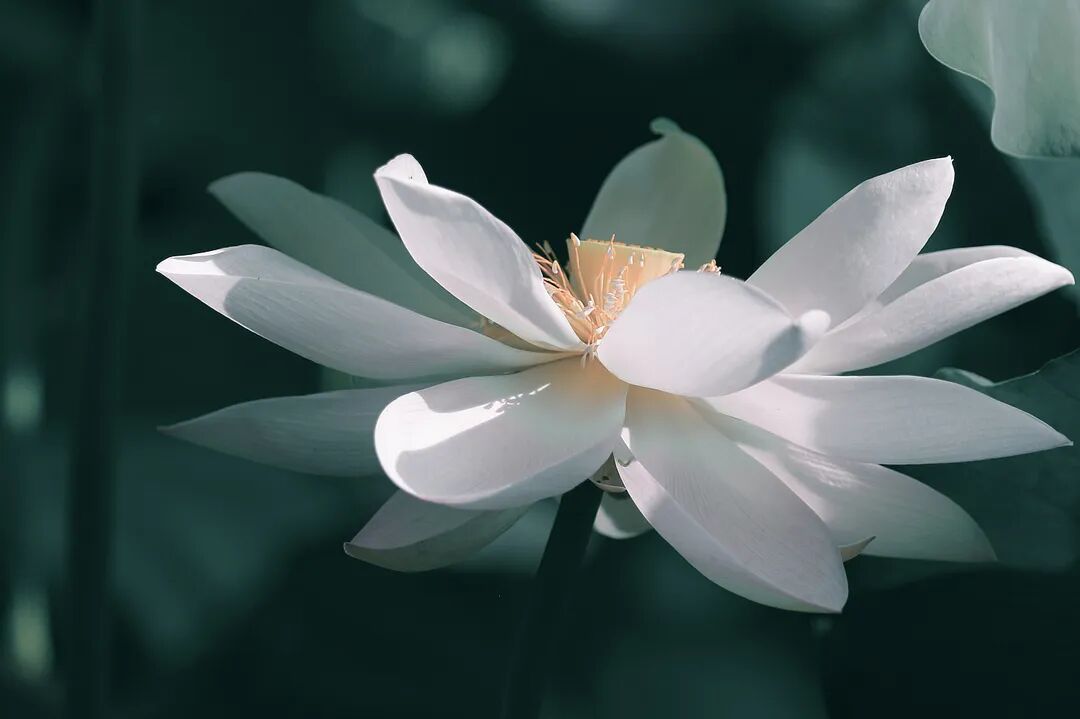 你的格局，就是你的风水