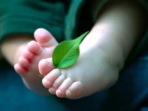 泡过的黑茶渣别扔掉，17个妙招用起来！赶紧发给家人吧