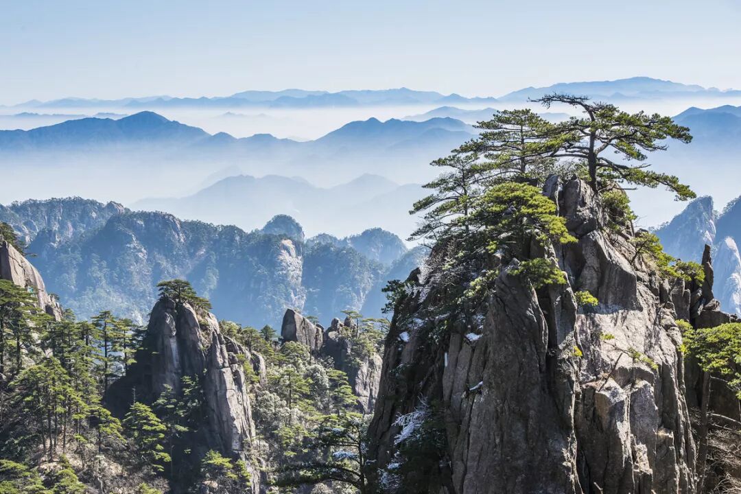 烟花三月下江南，人间最美四月茶