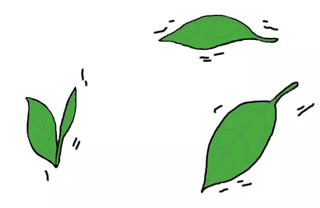 一分钟看懂，茶在你身体里的旅行