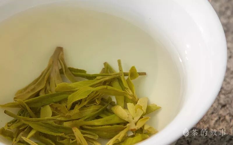 谁说绿茶不能用沸水冲？只须满足3个条件