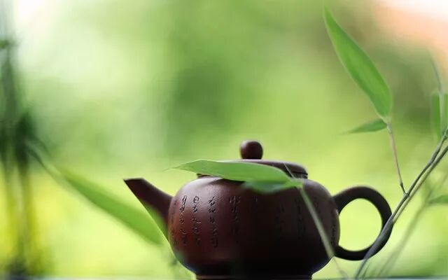 关于铁观音，你想问的都在这了