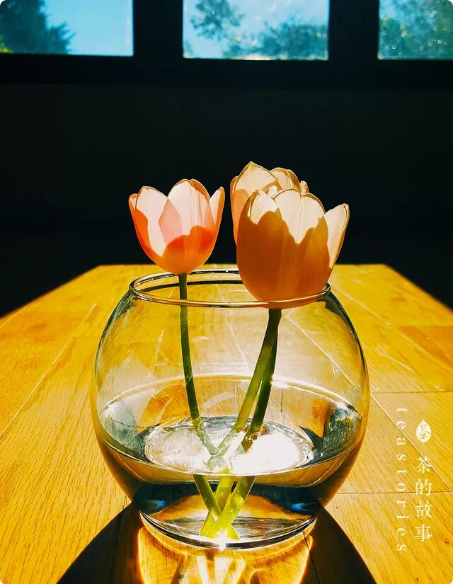 心中无事，身上无病，枕边有人，便是世间好光景