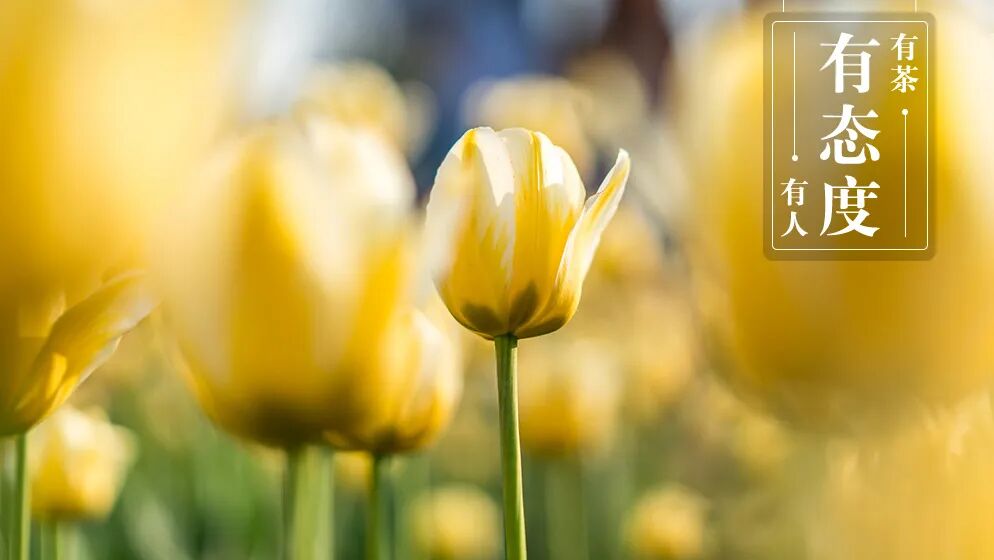 7月你好：愿你有人爱，有事做，有所期待