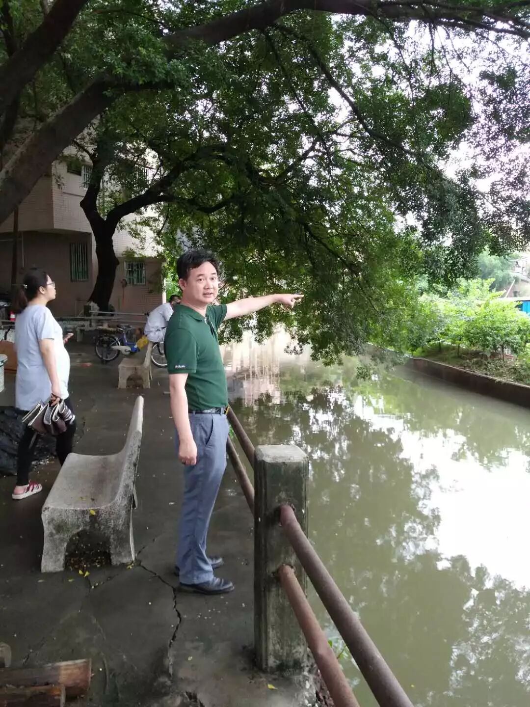中央環(huán)保督察回頭看緊盯廣佛跨界河涌水質(zhì)改善，桂城要狠抓生態(tài)整治！