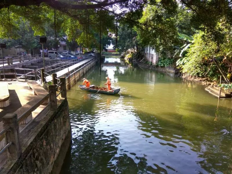 中央環保督察回頭看緊盯廣佛跨界河湧水質改善，桂城要狠抓生態整治！