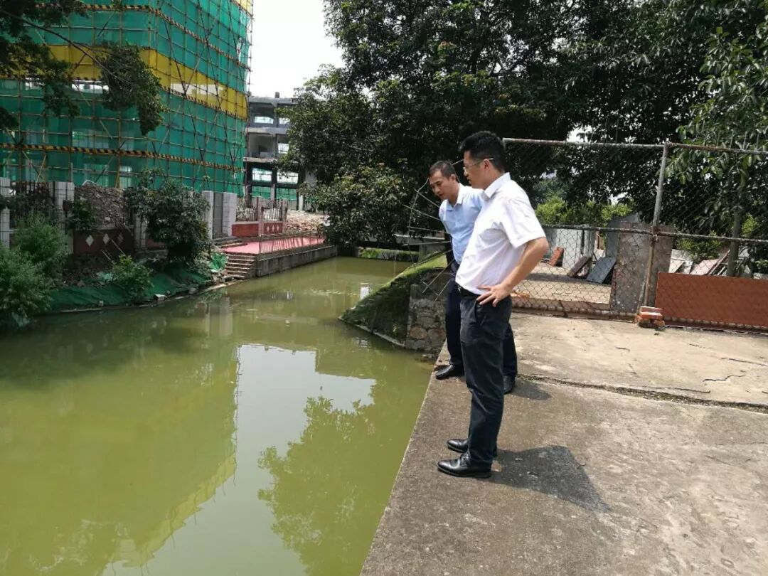 中央環(huán)保督察回頭看緊盯廣佛跨界河涌水質(zhì)改善，桂城要狠抓生態(tài)整治！