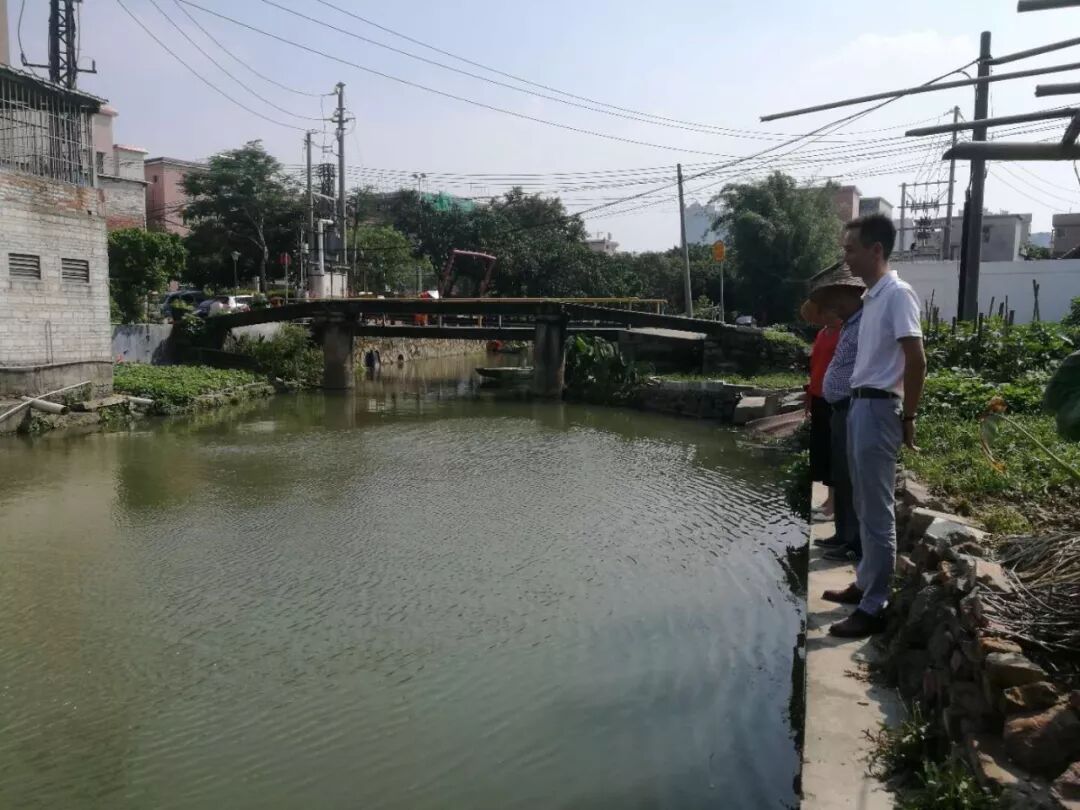 中央環(huán)保督察回頭看緊盯廣佛跨界河涌水質(zhì)改善，桂城要狠抓生態(tài)整治！