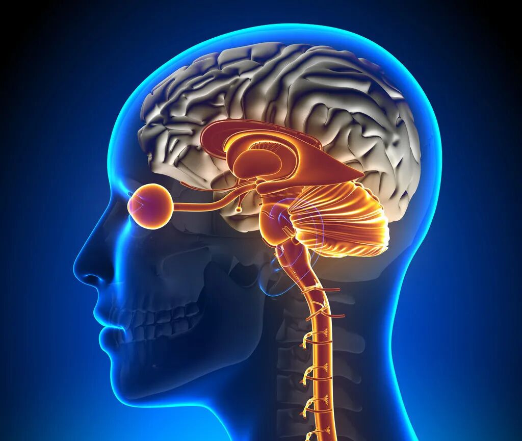 脑干听觉诱发电位是什么【健康科普】脑干听觉诱发电位是检查什么？_https://www.jmylbn.com_新闻资讯_第1张