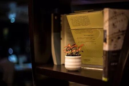 比喻和比拟怎么区分_比拟和比喻的区别是什么_象征义和比喻义的区别