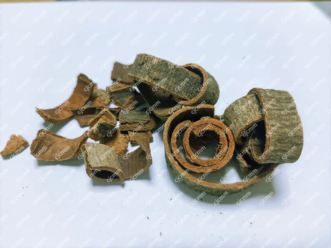 脾胃虚寒湿气重？暖脾祛湿有妙方，调理得当才是根本之道